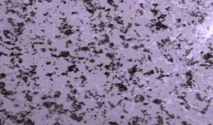 石目水圧転写フィルム